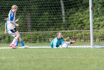 Bild 272 - wBJ VfL Pinneberg - Germania Schnelsen : Ergebnis: 15:1